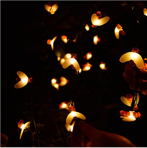Solar Camping lights 